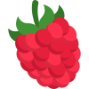 free-icon-raspberry-6866609